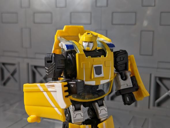 2023-3-30 Bumblebee .jpg