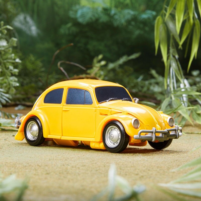 Bumblebee 6.jpg