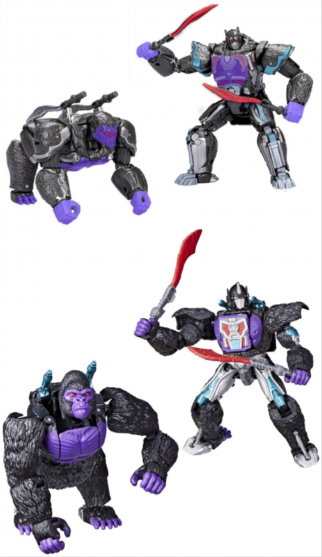 Digibash.png