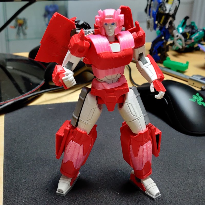 elita 1.jpg