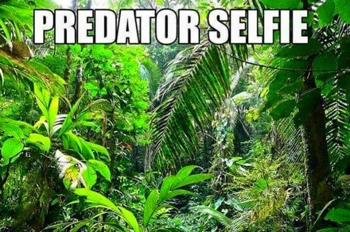 PredatorSelfie.jpg