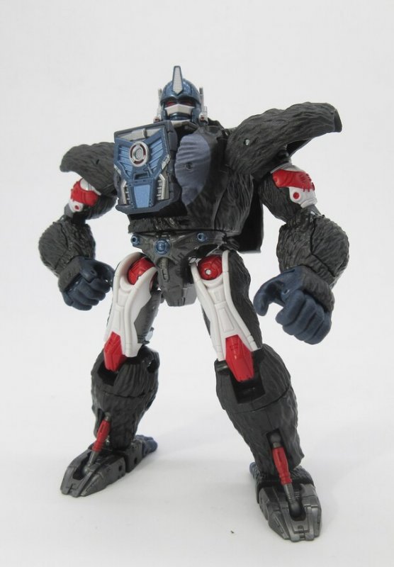 Takara Eternal Beast Showdown Optimus Primal & Megatron 2-Pack Official In-Hand Image (1)__sca...jpg