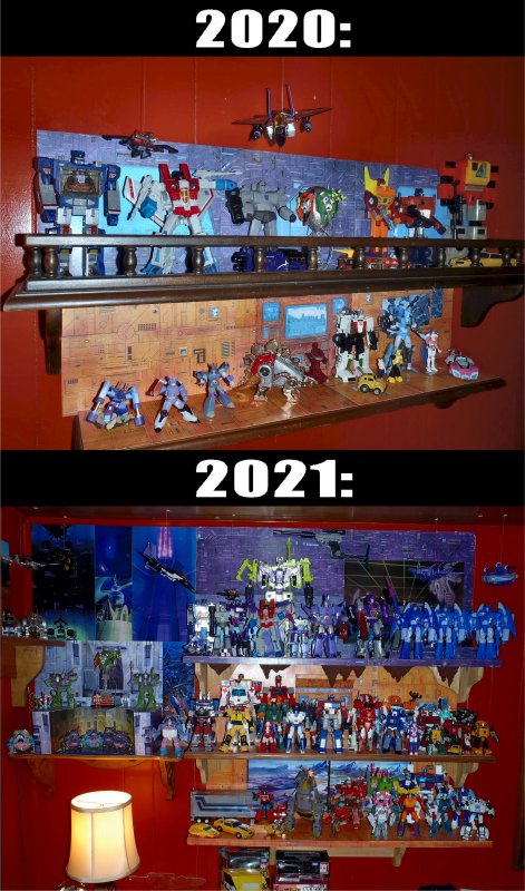 TF Collection 2020v2021.jpg