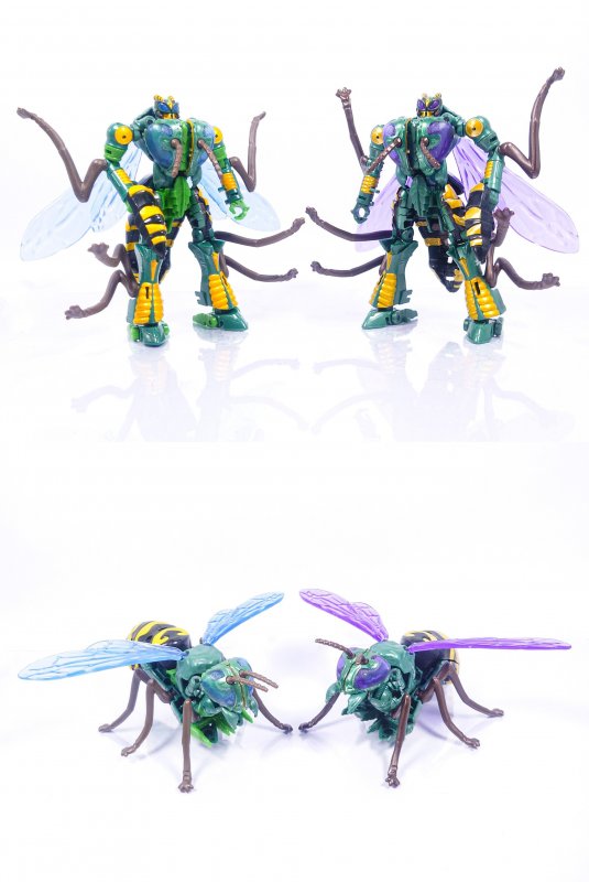 Waspinators.jpg