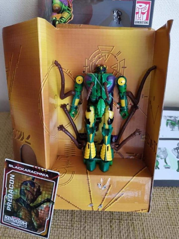 WFC Waspinator.jpg