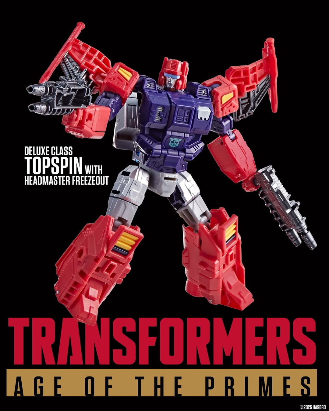 Wreck-‘n-Doom-Collection-Topspin-vs.-Spinister-2-pack-03.jpg