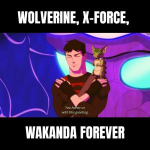 Young Justice 401 wakanda.jpg