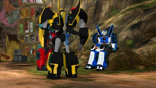 RID 2015 - Bumblebee's Back View.jpg