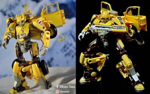 Premium Finish Bumblebee 2.jpg